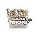 Kit Di Coltivazione Fresh Mushrooms 'Golden Teacher'