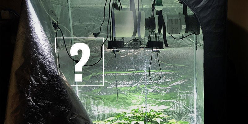 Hai Bisogno di un Filtro a Carbone per Coltivare Cannabis?