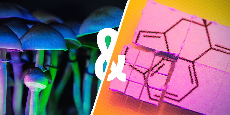È Possibile Combinare Funghi Allucinogeni E LSD?