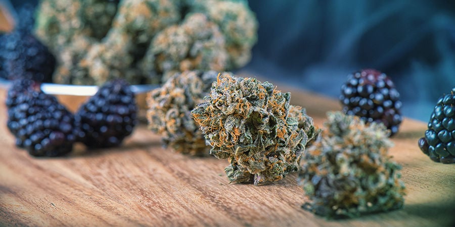 Seedfinder semi di cannabis: Sapori Della Cannabis