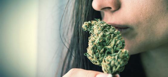 Come Eliminare L’Odore Di Cannabis